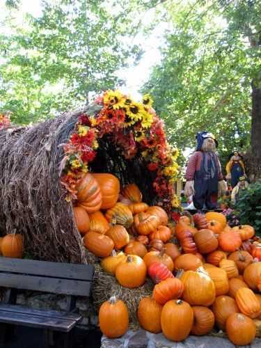 Harvest Cornucopia For 27 Adorable Thanksgiving Table Setting Ideas